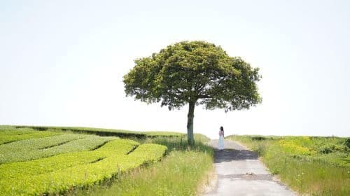 Jeju: West & South Full-Day Authentic Tour Day Tours