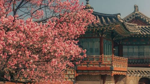 Discover Seoul Pass Mobile