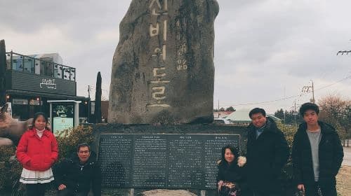 Jeju Island Taxi Tour : South Day Tour Day Tours