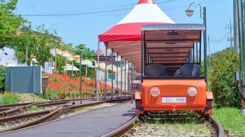 Korea Lego Land + Gangchon Railbike One Day Tour (From Seoul, Admission Tickets & Transport) Day Tours