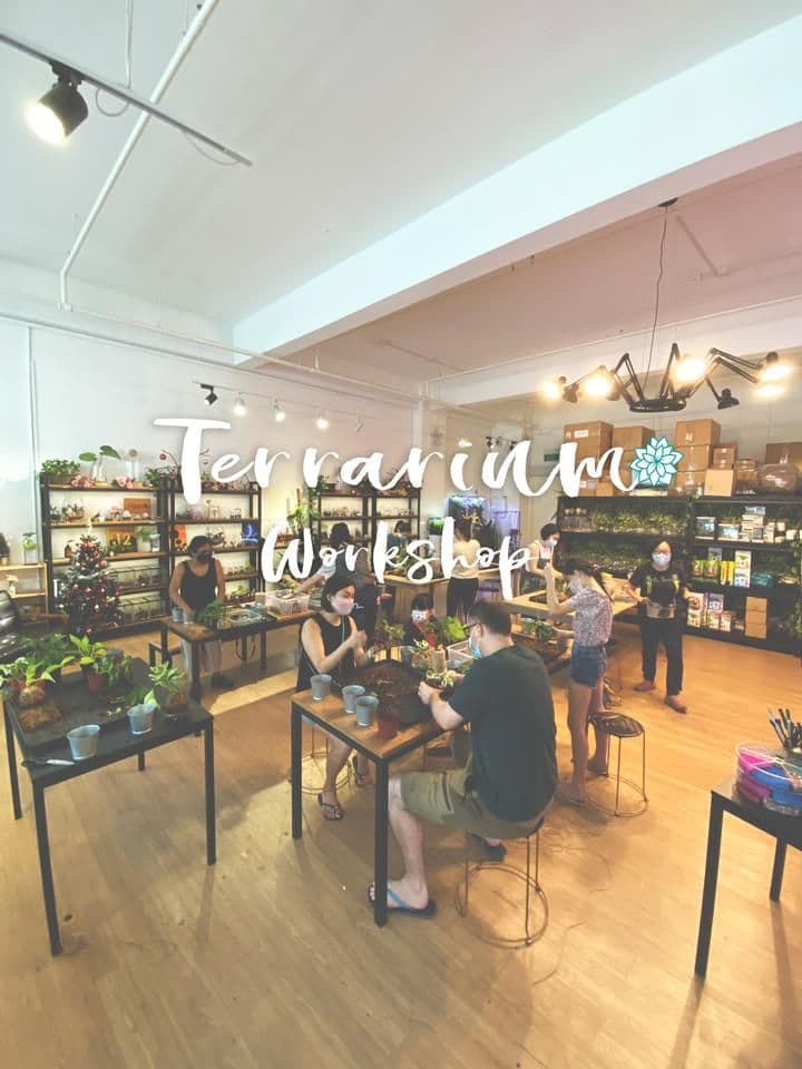 Terrarium Workshop