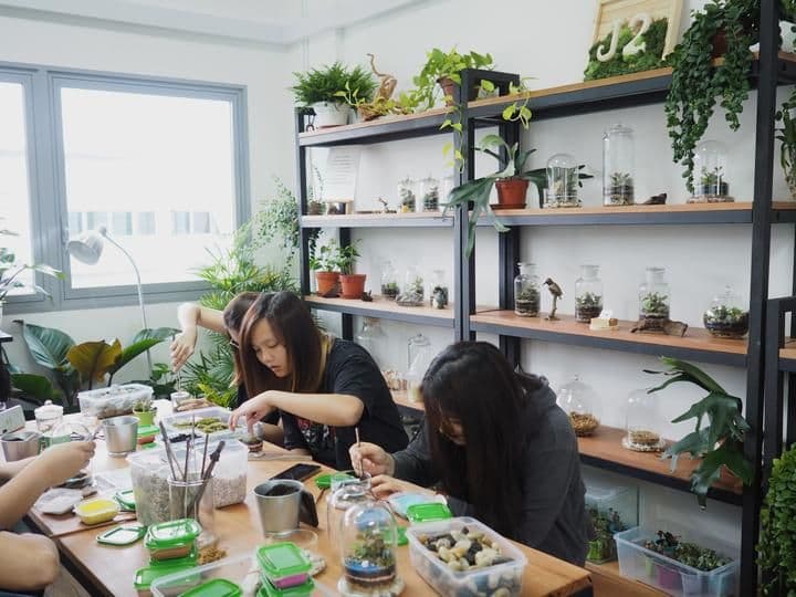 Terrarium Workshop