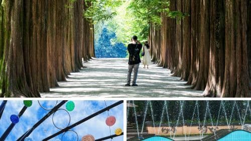 Nami Island, Rail Bike, Gapyeong Sheep and Alpaca Farm, and Starlight Festival Day Tours