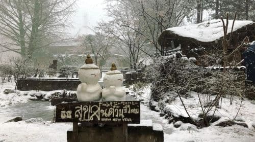 Seoul: Alpaca/Nami/Eobi(+RailBike, Strawberry optional) Tour Day Tours