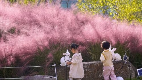 Seoul: Nami Island & Railbike & Begonia Bird Park Day Tour Day Tours