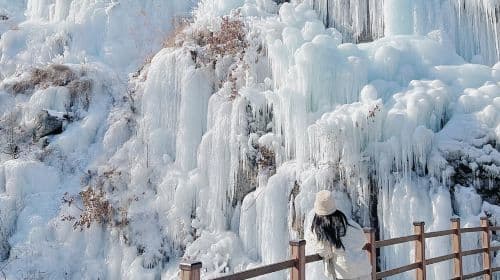 Winter Exclusive | From Seoul: Nami Island, Eobi Valley, and Alpaca World Day Tours