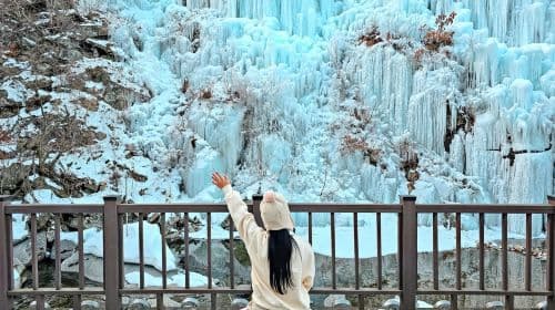Winter exclusive|Eobi Valley Glacier X Nami Island X Morning Calm Arboretum Night Light Festival Day Tours