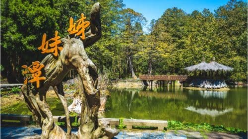 Alishan National Forest Recreation Area one-day tour[Taichung/Chiayi/Kaohsiung | Private private charter Guide] Day Tours