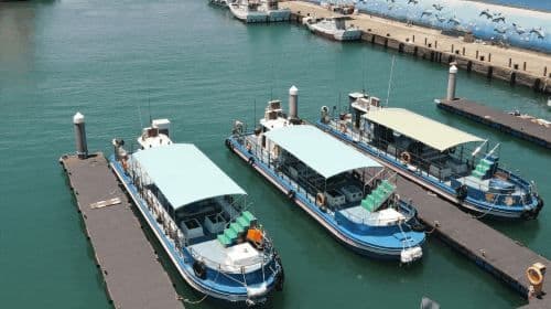 Blue Whale Semi-submarine for Underwater Sightseeing