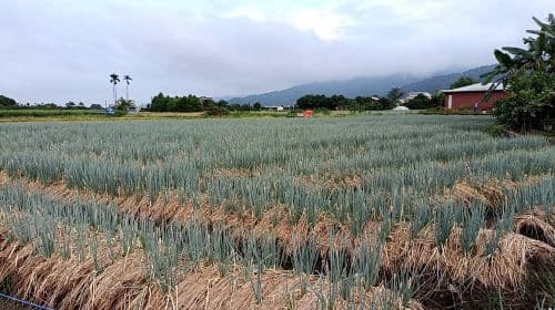 Chumi Experience Farm