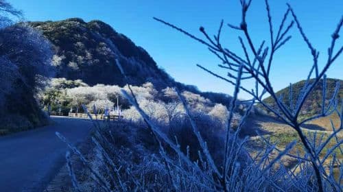 Gold Buddha Mountain (North Gate) Entry Ticket + Round-trip Ropeway