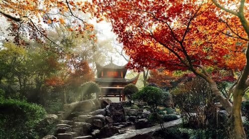 Hunan Museum + Orange Isle + Yuelu Academy + Autumn-Admiring Pavilion Changsha Pure Play Small Group 1-day Tour Day Tours