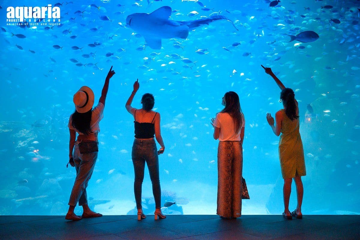 Aquaria Phuket - Niet-Thaise ingezetene