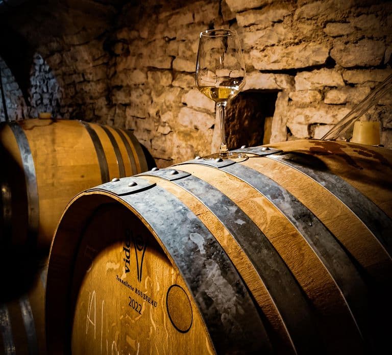 Historic Center of Dijon : Discovery Tasting Wine Burgundy