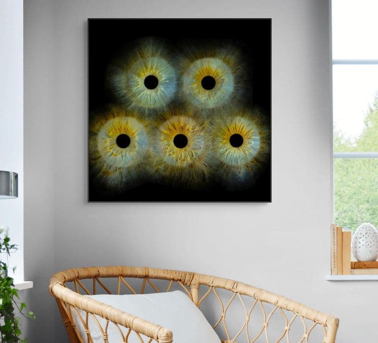 Metz: Your professional iris photography with framed print