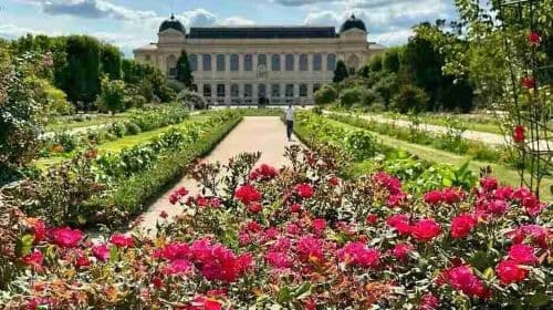 Jardin des Plantes