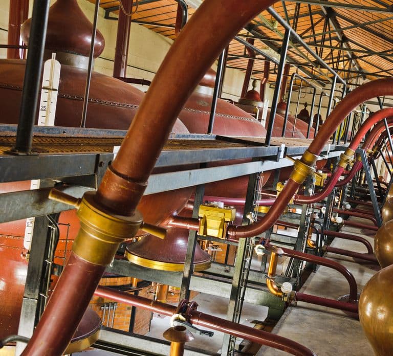 Jarnac: Braastad cognac discovery tour