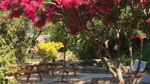 Zoa Parc Animalier et Botanique