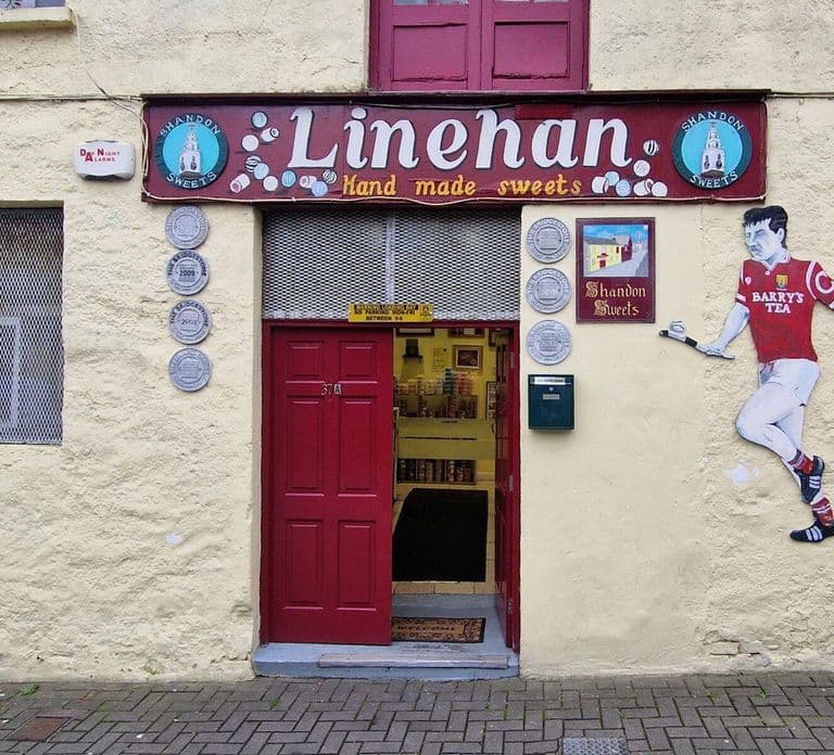 Cork: Shore Excursion Experience