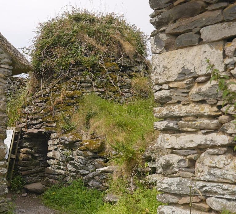 Dingle: Private Sheepdog Show, Beehive Huts & Petting Farm