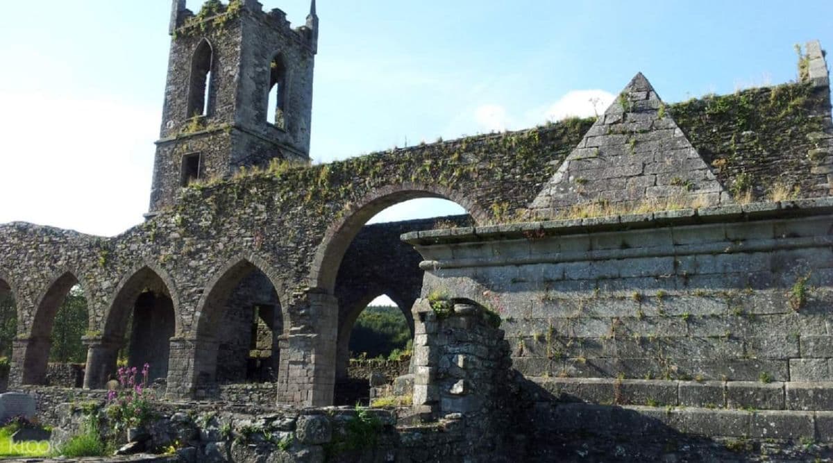 Wicklow Day Tour from Dublin