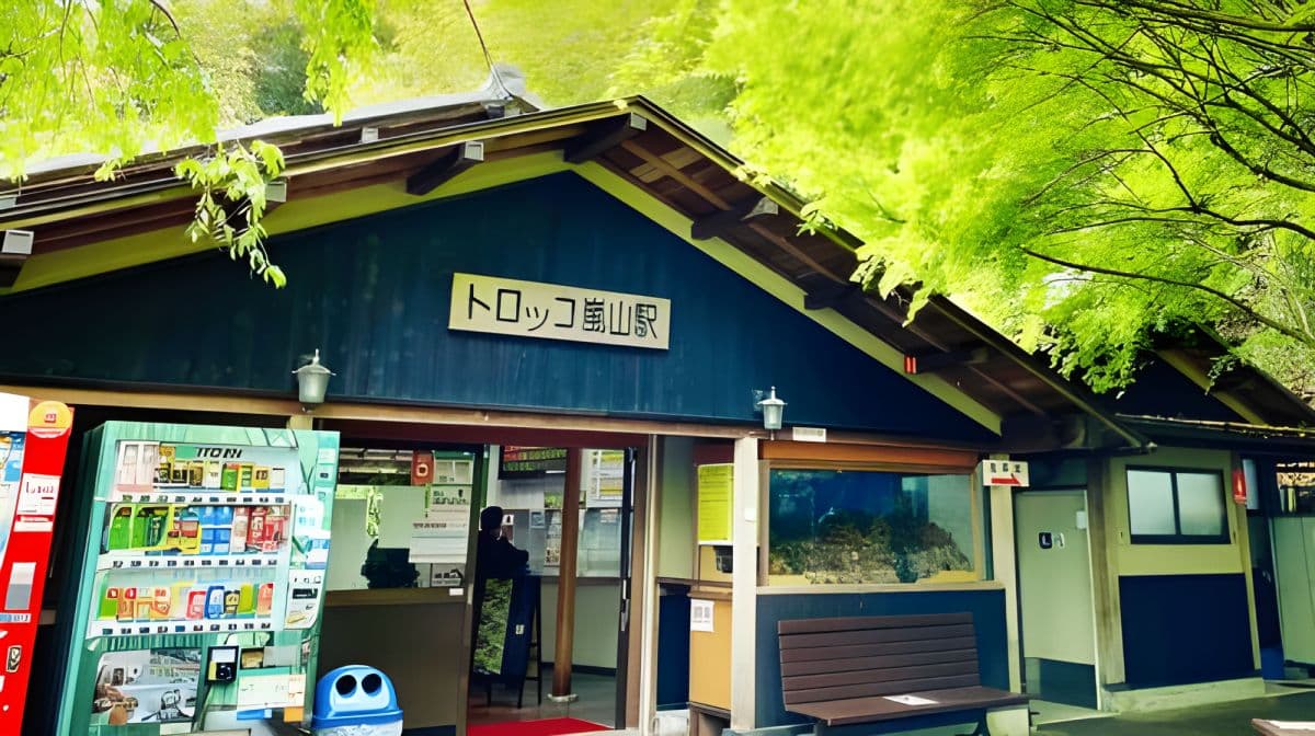 Kyoto: UNESCO World Heritage Arashiyama Walking Tour Day Tours