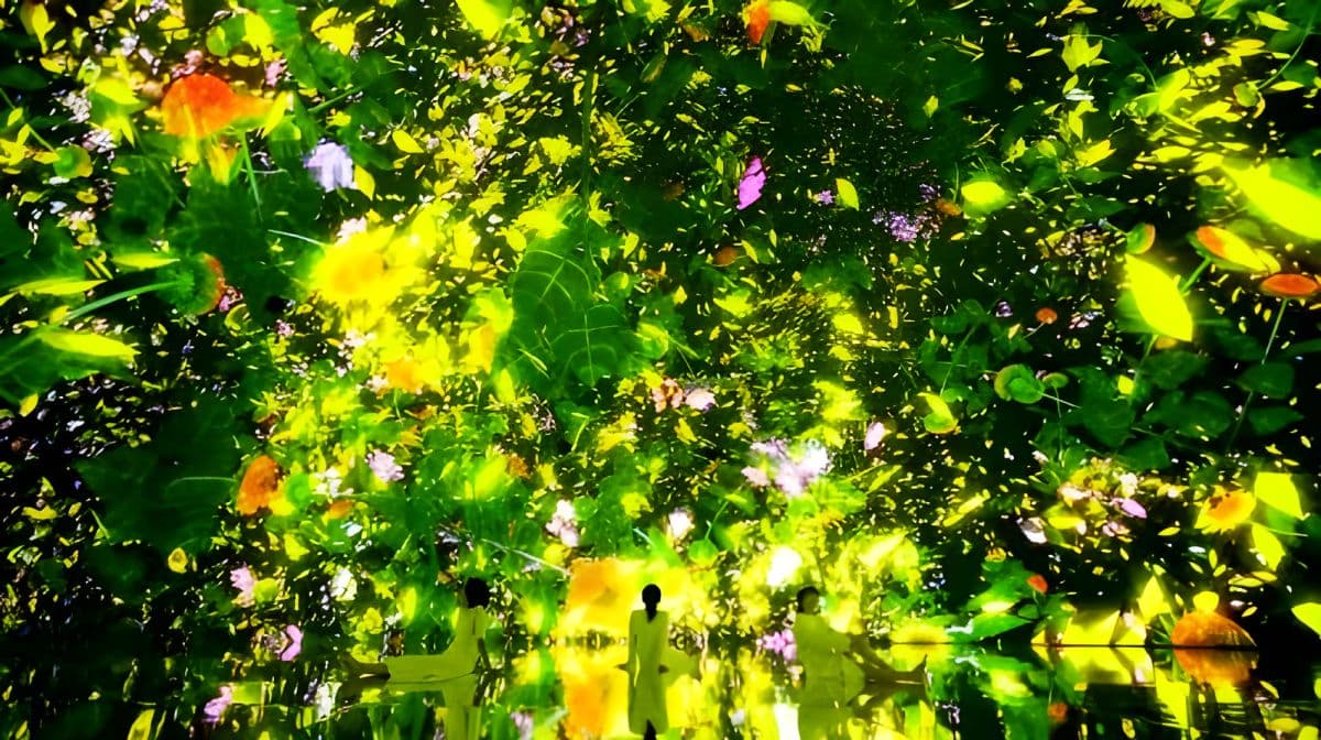 TeamLab Planets TOKYO