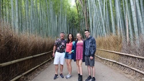 Fushimi Inari Taisha Day Tours