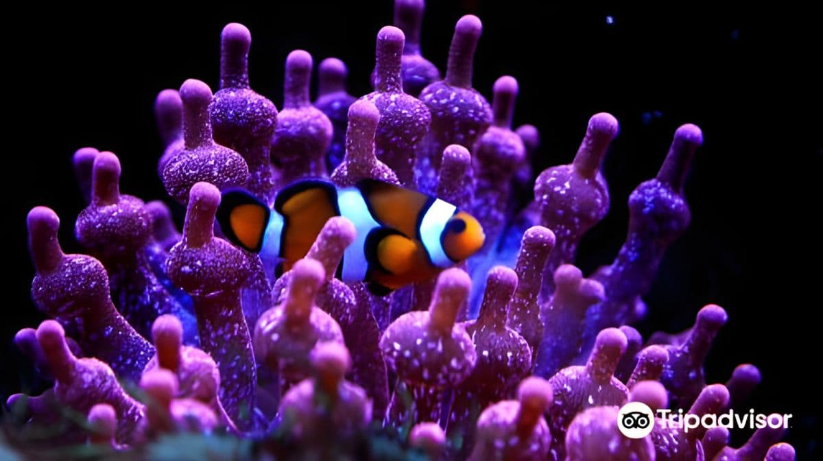 Aquarium of Lyon
