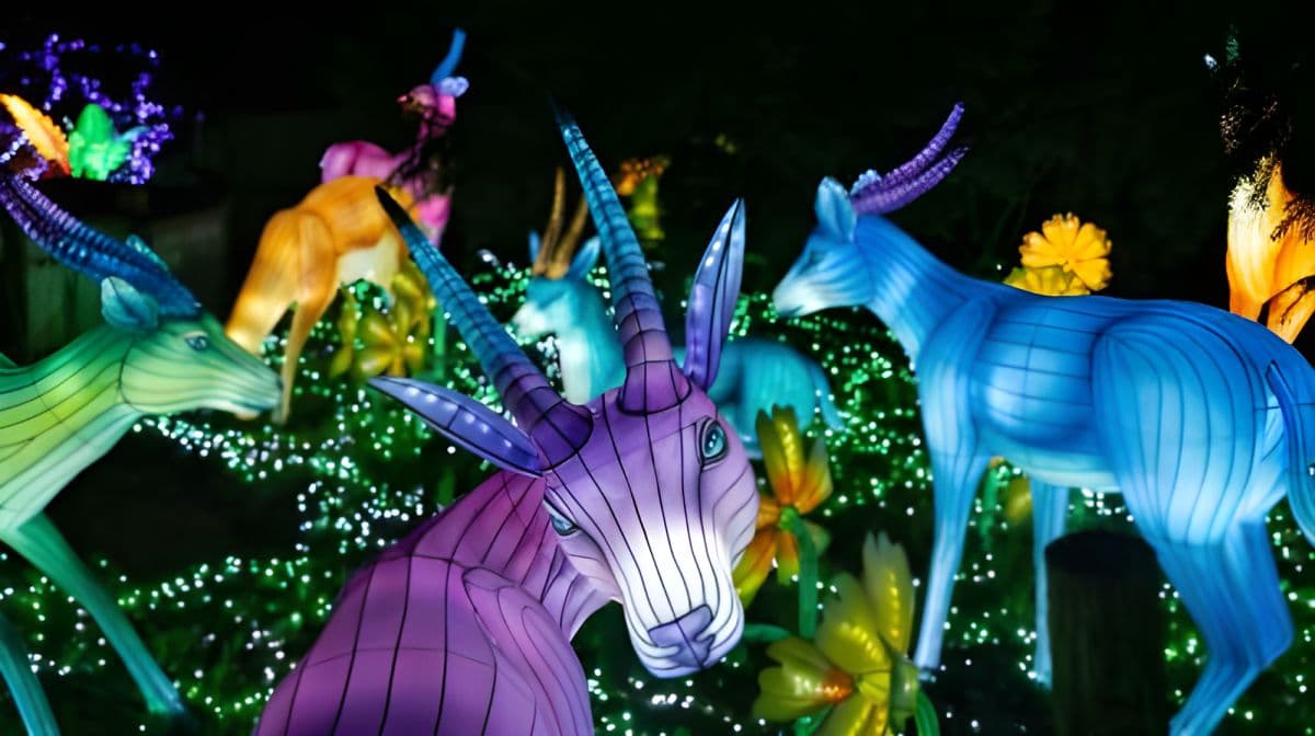 Zoo d'Amneville