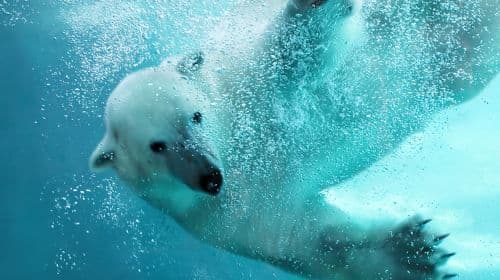 Hokkaido Day Tours