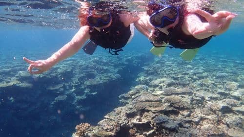 Japan Ishigaki Island + Blue Cave Experience