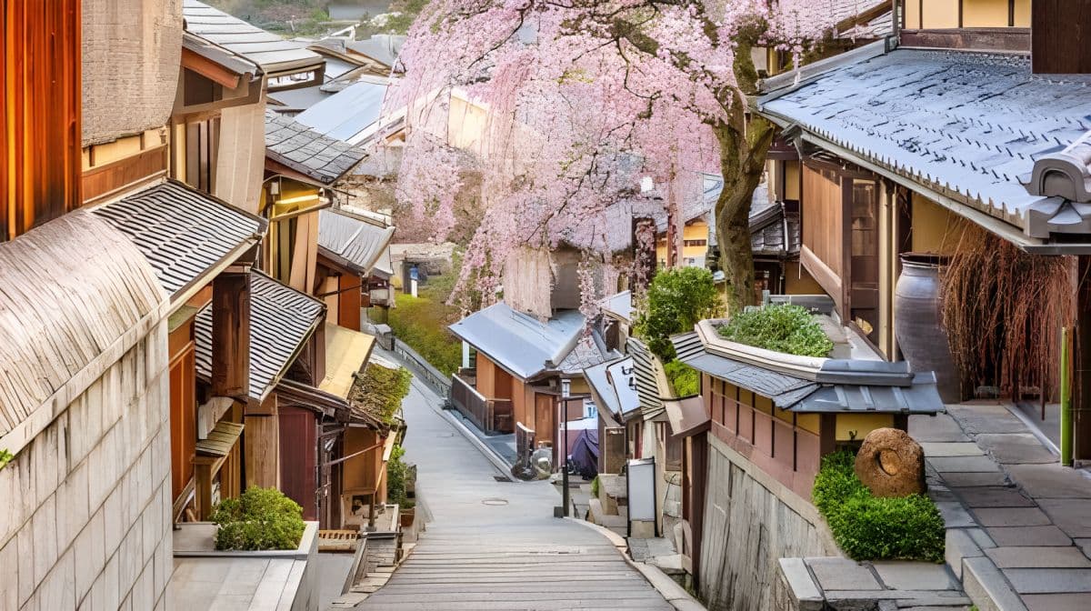 Japan Kyoto Kiyomizu-dera Temple + Fushimi Inari Taisha 1-day tour Day Tours