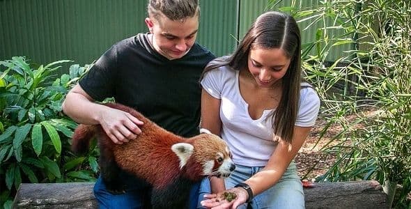 Currumbin Wildlife Sanctuary Tickets