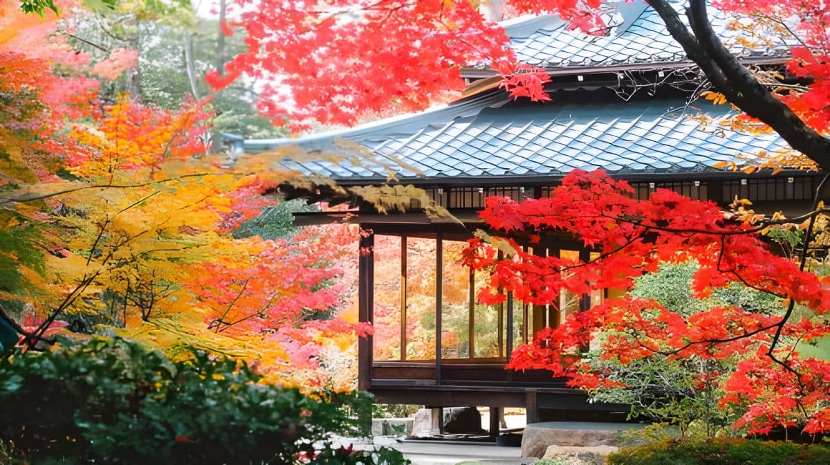 Kyoto autumn foliage 1-day tour: Nanzen-ji Temple + Nishiki Market + Gion + Nijō Castle night illumination show Day Tours
