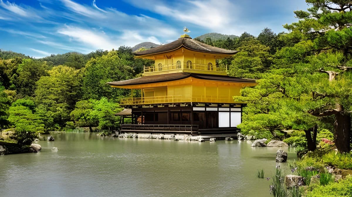 Kyoto one-day tour| Nijo Castle + Kinkakuji Temple + Fushimi Inari + Arashiyama Togetsukyo Bridge + Kimono Forest Day Tours