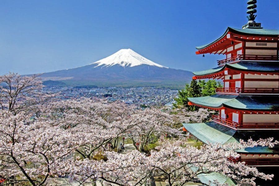 Mount Fuji Day Tour: Tour G
