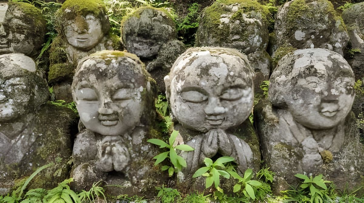 Otagi Nenbutsu-ji & Arashiyama Bamboo Forest Walking Tour Day Tours