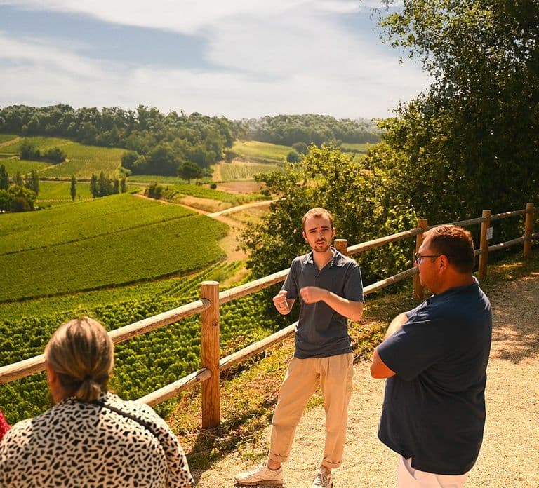 Saint-Émilion: Grand Cru Classé Winery Visit and Tasting